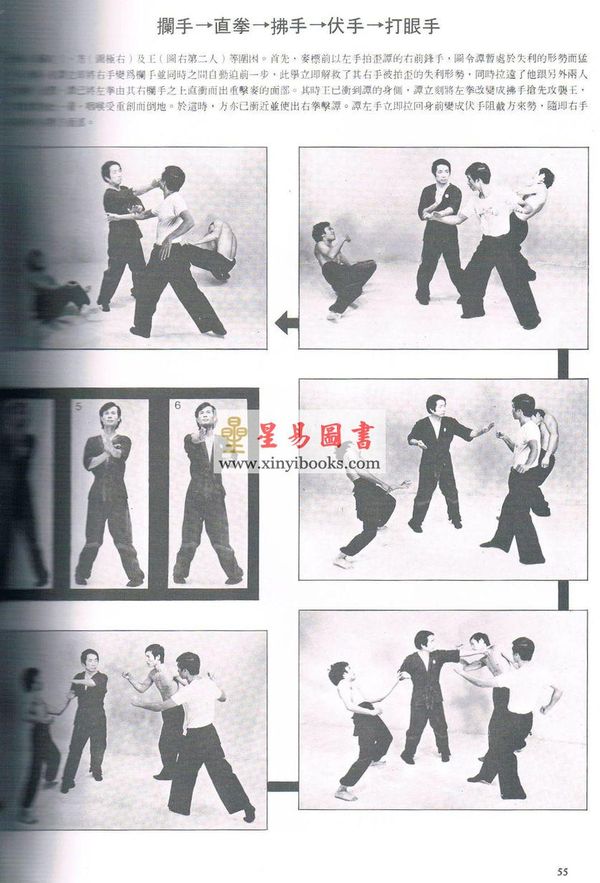 梁挺博士：咏春拳（中文版）（下册）WING-TSUN-KUEN