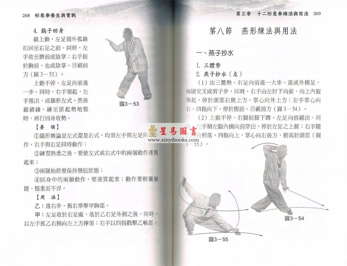 曹志清：形意拳练法用法与功法