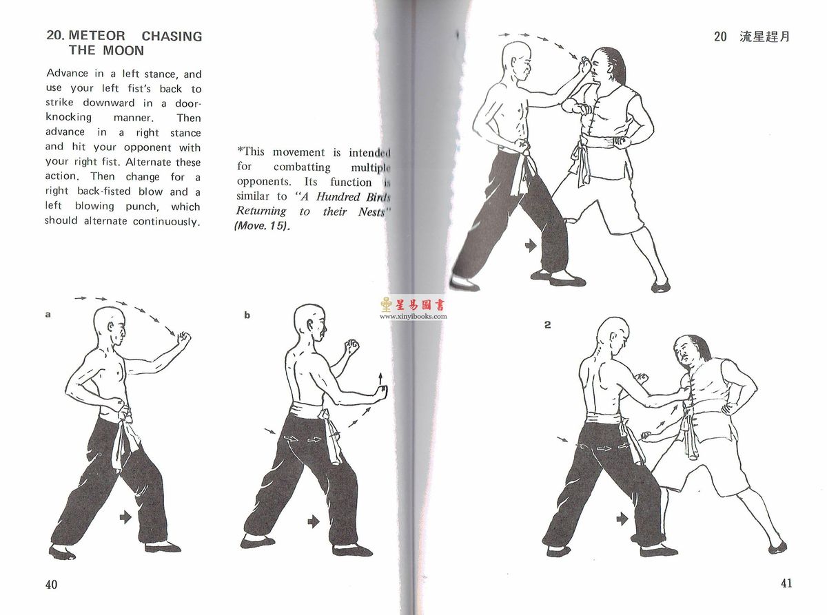 Dr. Leung Ting梁挺博士：108 Movements of The Shaolin Wooden-men Hall #1