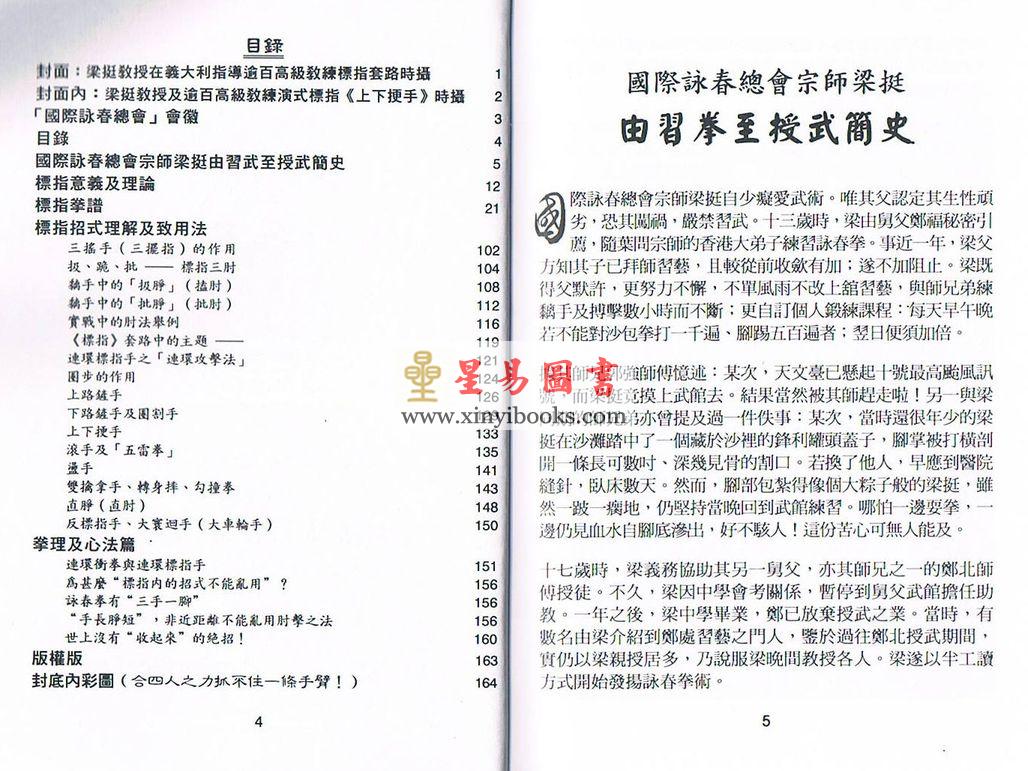 梁挺：咏春标指 售罄