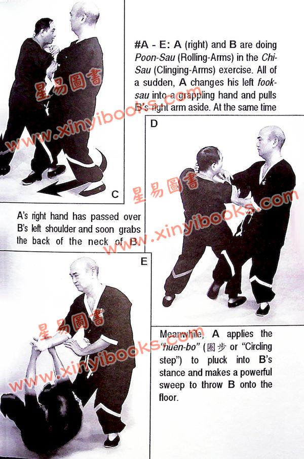 Dr. Leung Ting：116 Wing Tsun Dummy Techniques（良仕行）116木人椿法