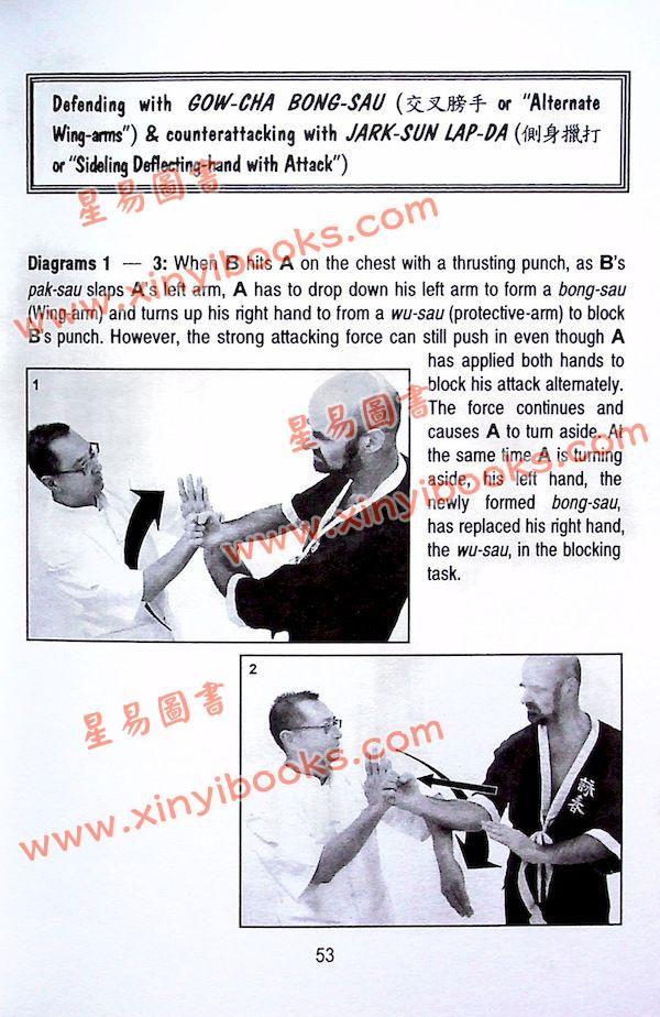 Dr. Leung Ting：Chi-Sau of the Wing Tsun System（良仕行）黐手1