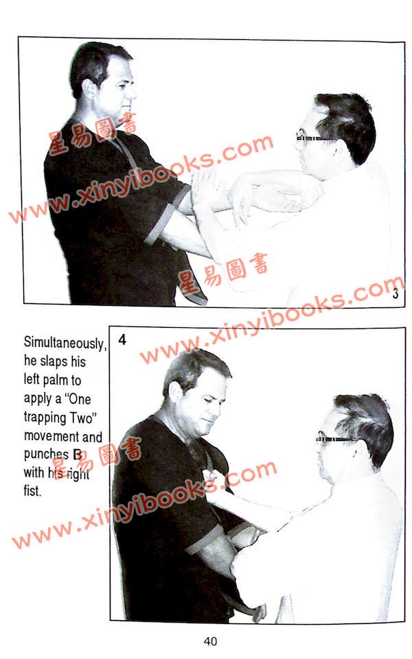 Dr. Leung Ting：Chi-Sau V-VII of the Wing Tsun System（良仕行）黐手5-7