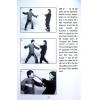 Dr. Leung Ting：Chi-Sau of the Wing Tsun System（良仕行）黐手1