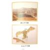 管辂、郭璞著/继大师注：管虢诗话暨葬书释义（榮光園40）